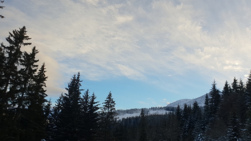 С нощно каране в петък ще бъде открит новият зимен