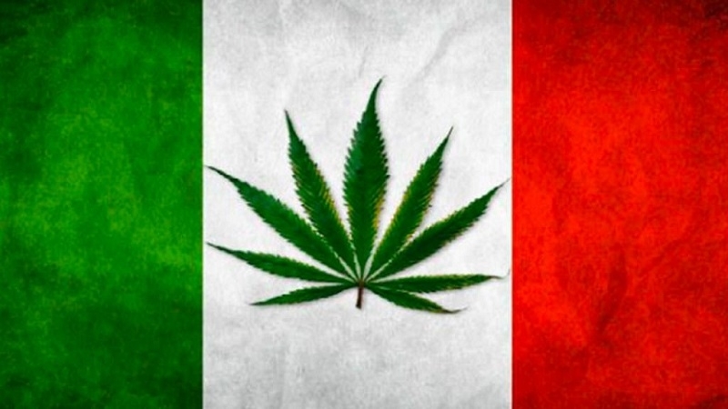 Референдум за декриминализиране на канабиса може да бъде проведен в Италия още догодина Поддръжници