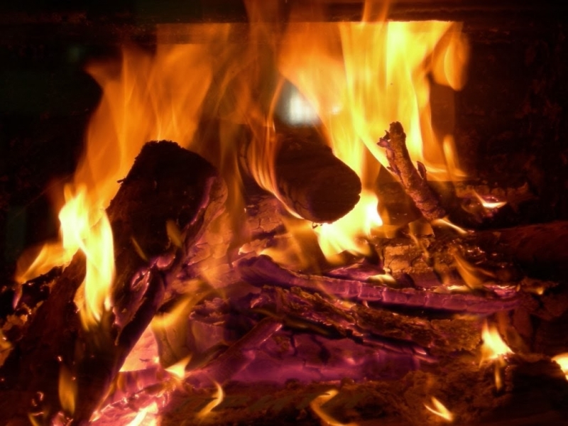 54% от населението в България използват за отопление дърва и