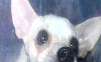 Мъж от Тусон Аризона който отчаяно се надява да намери