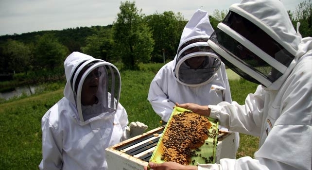 Нови двама млади пчелари има тази година пчеларско дружество Нектар