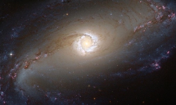 Учени установиха че първите земни тухлички на живота са се