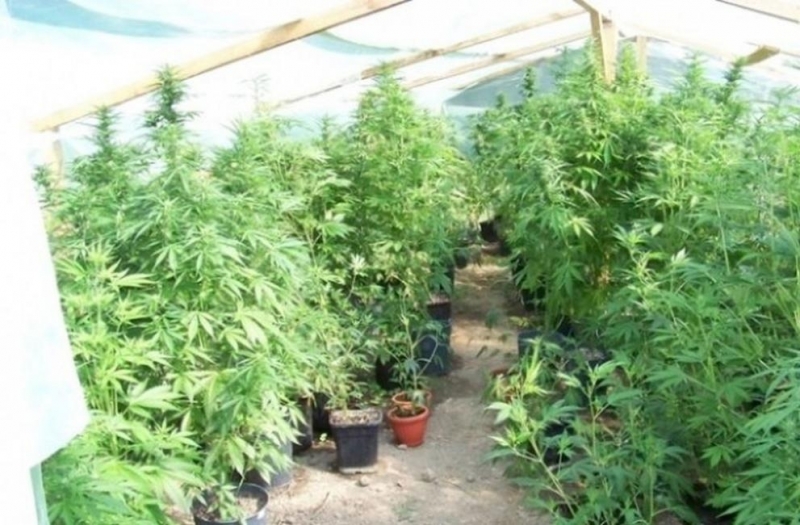 Районна прокуратура – Монтана приключи дело срещу обвиняемия Л И привлечен