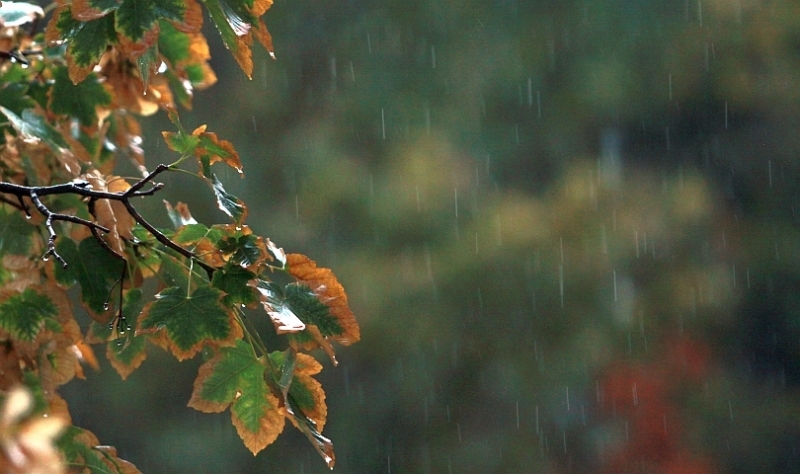Атмосферното налягане ще бъде по високо от средното за октомври и