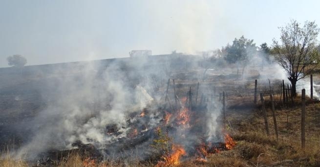 Пожар пламна над благоевградското село Рилци Гасиха син и баща