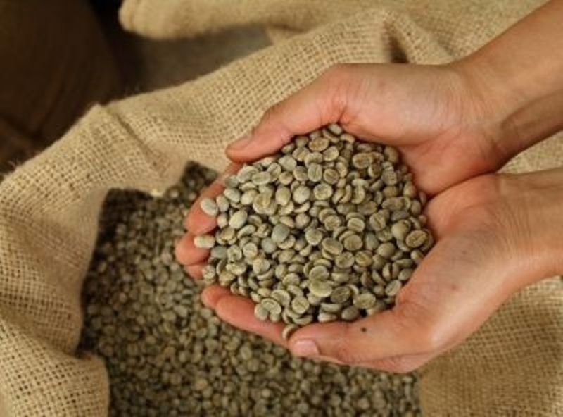 Инспектори от звеното за фискален контрол на НАП предотвратиха опит