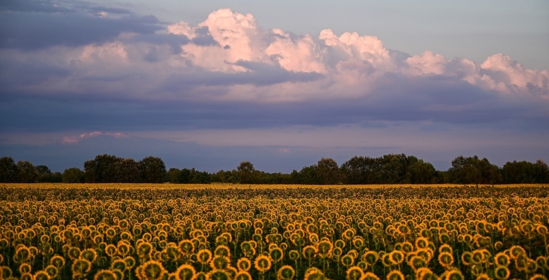 Днес ще бъде предимно слънчево с разкъсана висока а след