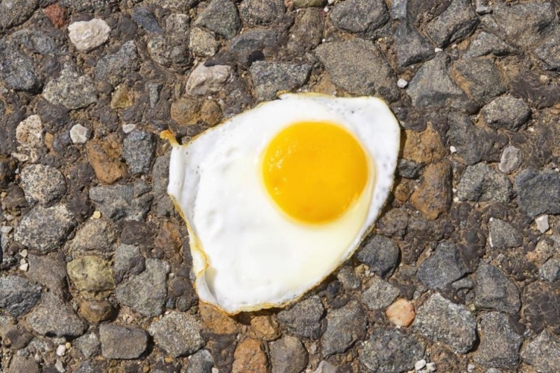 Преподавател от Университета по аграрни науки и ветеринарна медицина в Букурещ изпържи