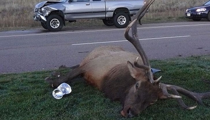 66 годишен мъж е пострадал при пътно транспортно произшествие по пътя Разград