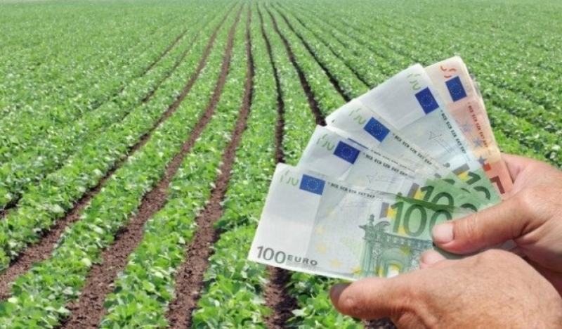 Окръжна прокуратура Монтана е внесла за разглеждане в съда