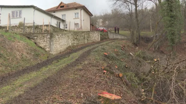 Разследват незаконна сеч в мездренското село Люти дол /снимки+видео/