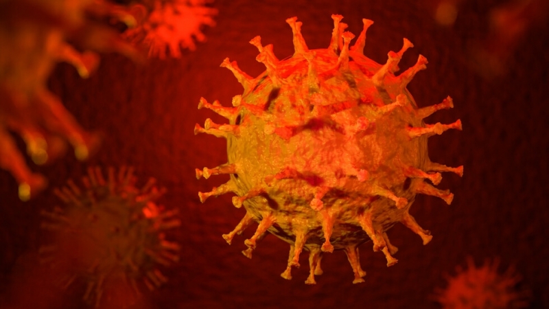 Германия съобщи за рекорден брой нови случаи на коронавирус