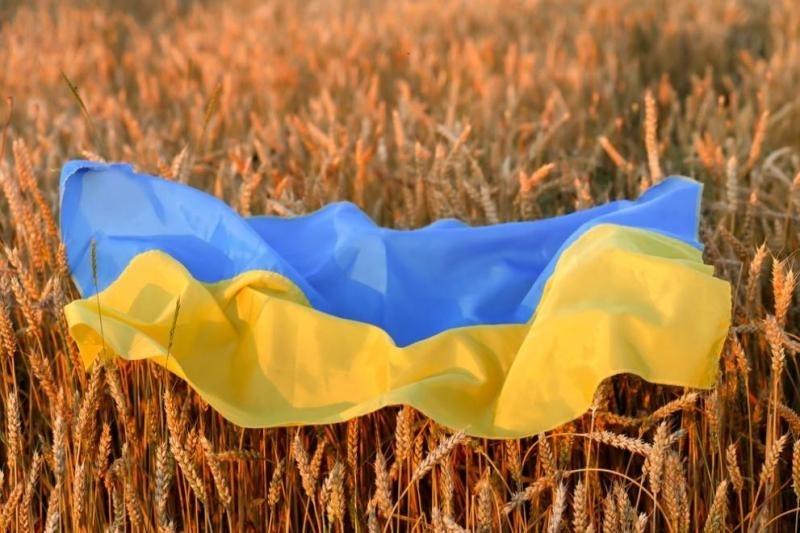 Украйна разполага със зърно за около 10 милиарда долара обяви