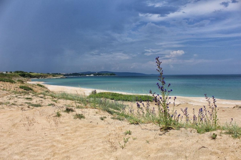 Вицепремиерът по климатичните политики и министър на околната среда и