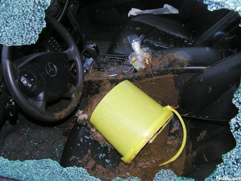 Бандит потроши кола и я заля с фекалии в Берковица