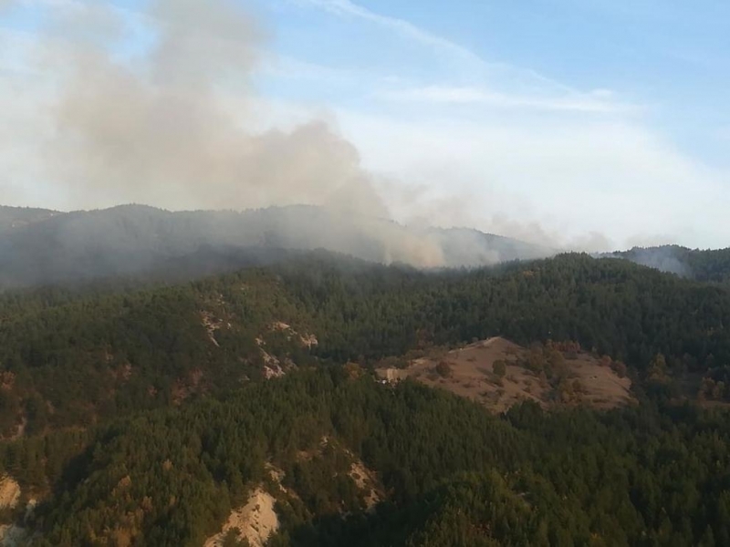 Военнослужещи от Българската армия трети ден помагат в гасенето на