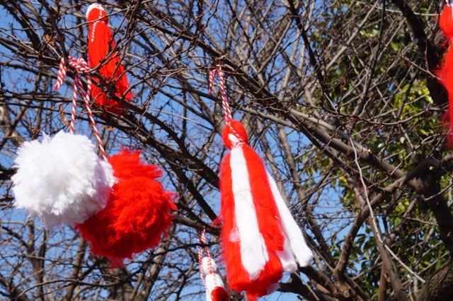 През нощта времето бе преобладаващо ясно а днес ще е