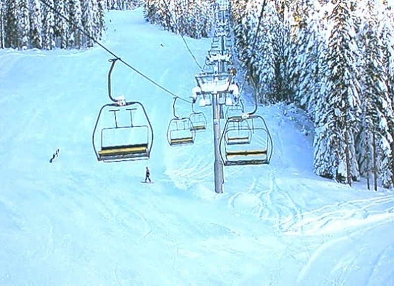 Община Берковица стартира процедура за безвъзмездно придобиване на имоти частна