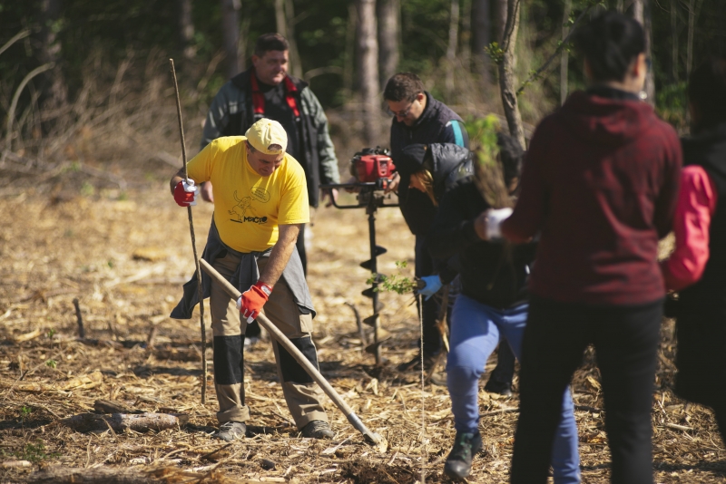 Община Мездра в партньорство с доброволческата инициатива Гората бг организират залесителна