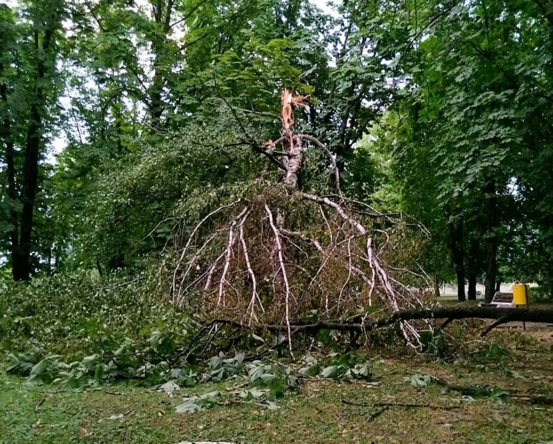 Силна буря с мощни пориви на вятъра дъжд и градушка