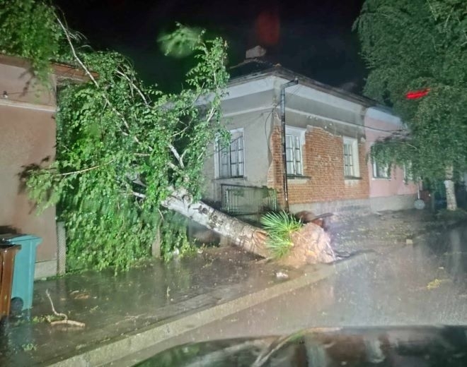 Мощна буря премина през Северозапада, щетите са големи /снимки/