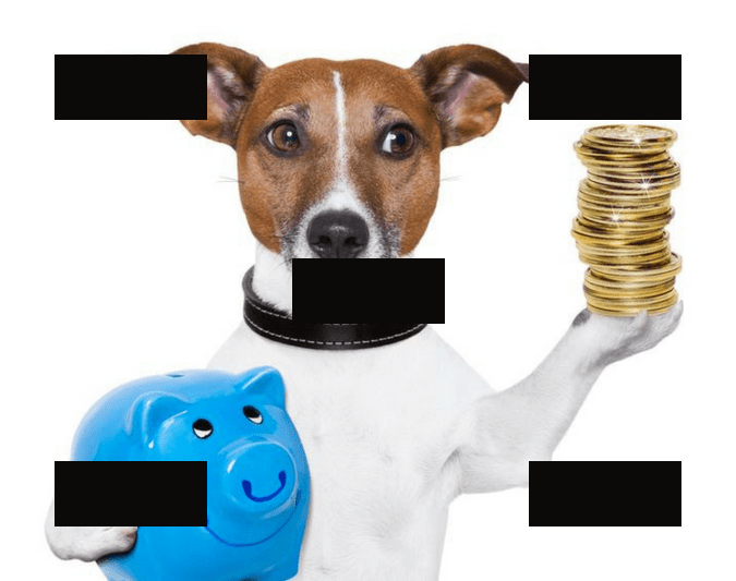 Община Мездра напомня на собствениците на домашни любимци че крайният