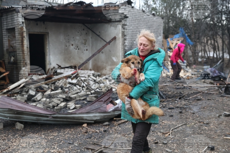 При руска въздушна атака е ударен приют за кучета в