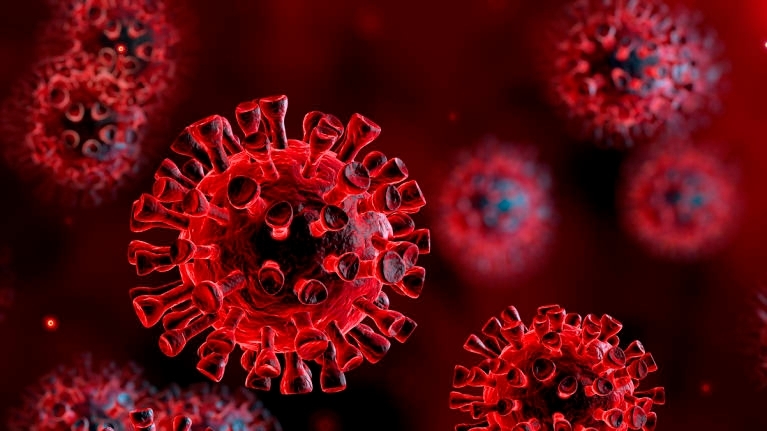 Рекордно малко нови случаи 11 749 на коронавирус бяха