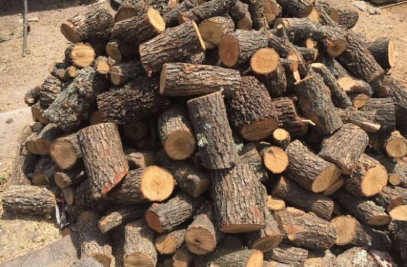 Незаконен дървен материал е бил намерен във врачанско село съобщиха