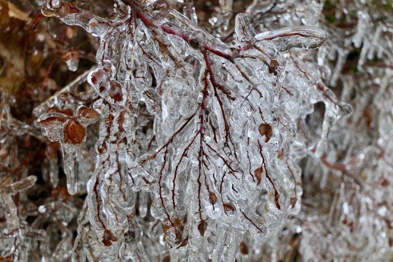 От запад валежите ще започнат да отслабват следобед и да