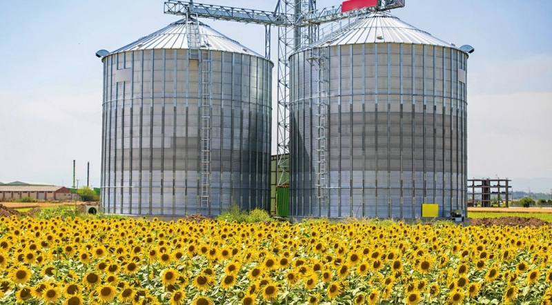 Неизвестни са откраднали 4 тона слънчогледови семки от зърнобаза в