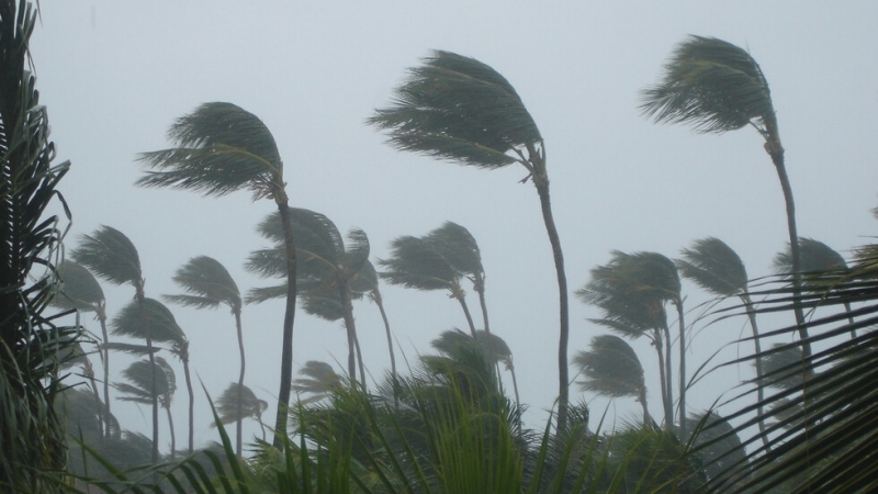 Тропическата буря Ана е отнела живота на най малко 34 души