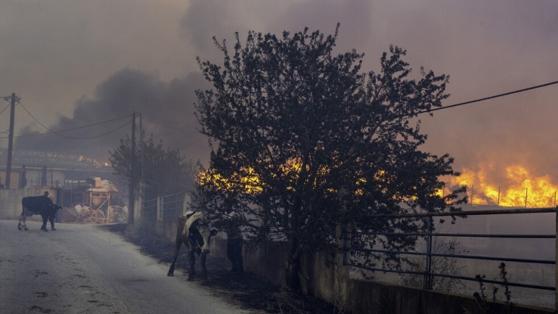 Голям пожар гори в гръцкия град Никити 37 огнеборци с