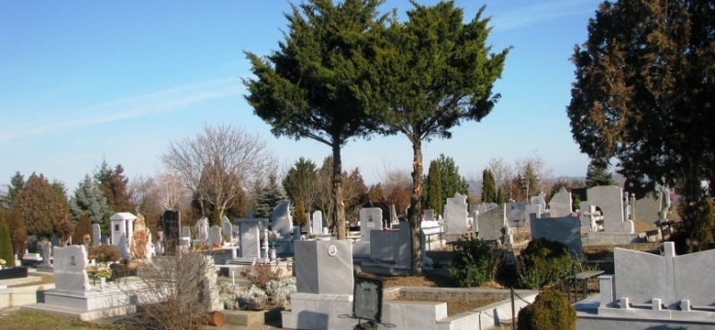 Нечувана вандалска проява възмути Лом научи агенция BulNews Жителите на