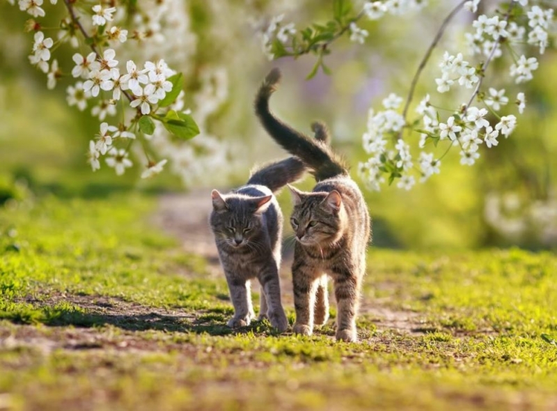Днес ще бъде слънчево Сутринта на отделни места в низините