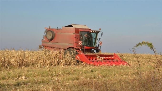 Жътвата на пролетниците слънчоглед и царевица в област Монтана вече
