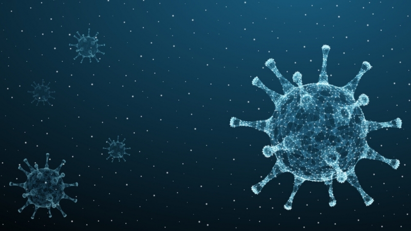 Националният център по заразни и паразитни болести анализира 90 клинични