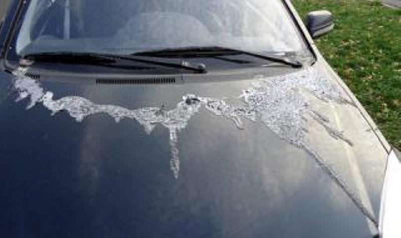 Полицаи издирват бандит полял с разяждаща течност две Ауди та във Враца