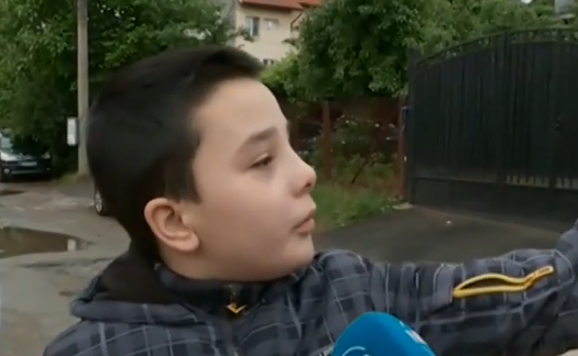 Домашно куче нахапа 10-годишно дете в София