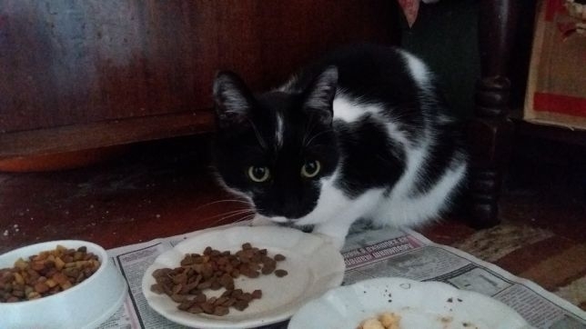 Тежка неприятна миризма тормози от години жителите на блок 115