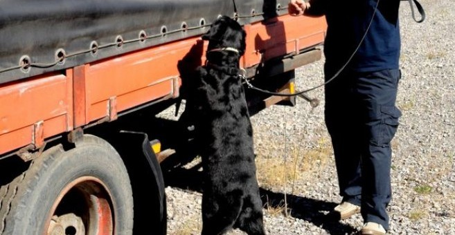 Общо 1490 кутии 29 800 къса цигари и алкохол предимно