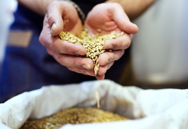 Вносът на пшеница от Украйна е пренебрежително малък – 0.3% от