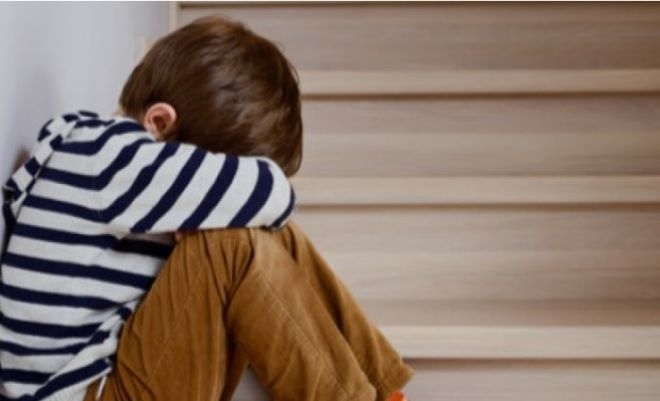 Общо 28 400 са обажданията на Националната телефонна линия за