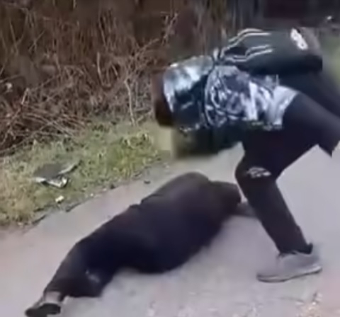  Лъсна второ видео на бруталната агресия между деца която потресе