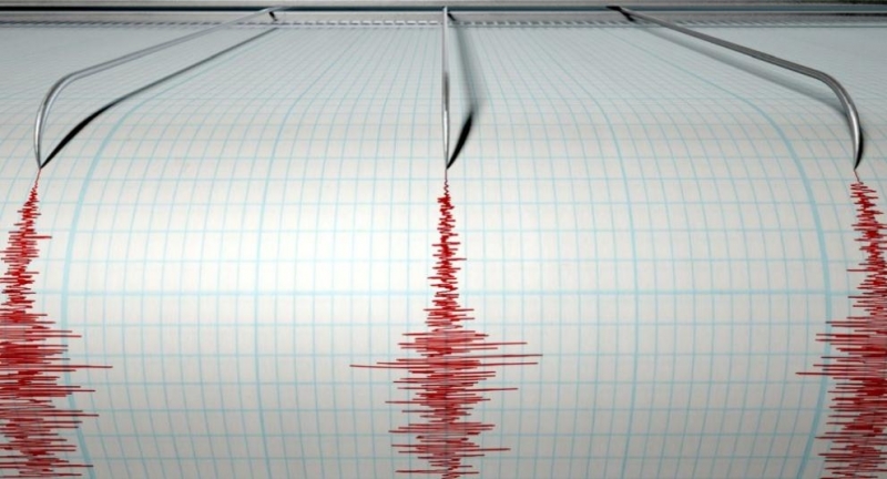 Земетресение с магнитуд 4.2 бе регистрирано днес в окръг Ван,