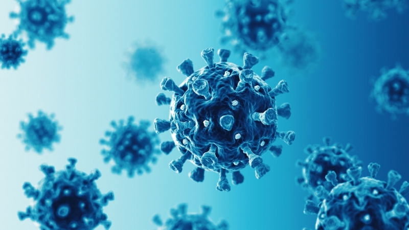 Първи случай на южноафриканския вариант на COVID 19 у нас е