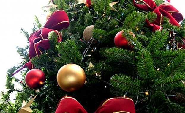 Елха е паднала на коледния базар на централния площад на