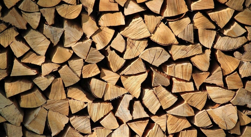 Полицията в Монтана иззе незаконни дърва при проведената вчера спецакция
4