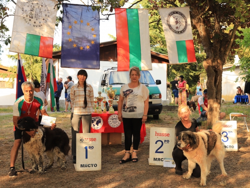 Клуб за Българско овчарско куче – Берковица участва в Европейската
