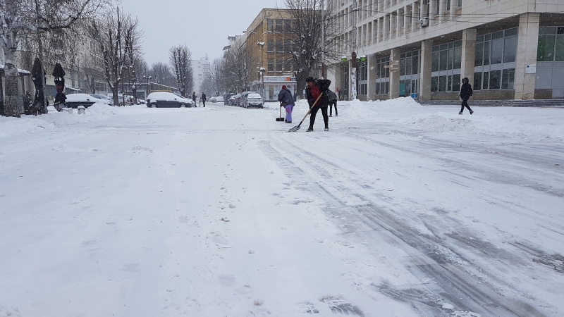 С богата музикална и художествена програма община Мездра ще отбележи